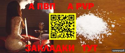 PSILOCYBIN Можга