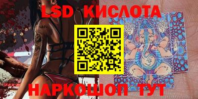 PSILOCYBIN Можга