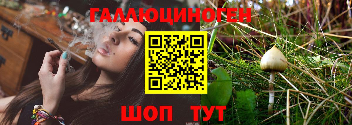 где купить наркотик  Вход с VPN  Жуковский  Галлюциногенные грибы Cubensis 