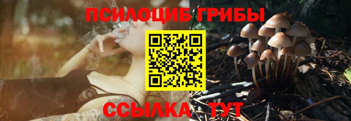 Псилоцибиновые грибы мицелий Жуковский